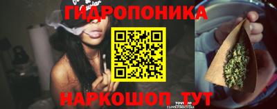 винт Можга