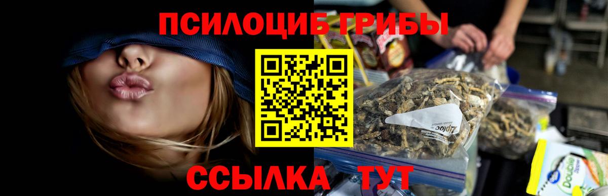 Галлюциногенные грибы Psilocybe Ярцево