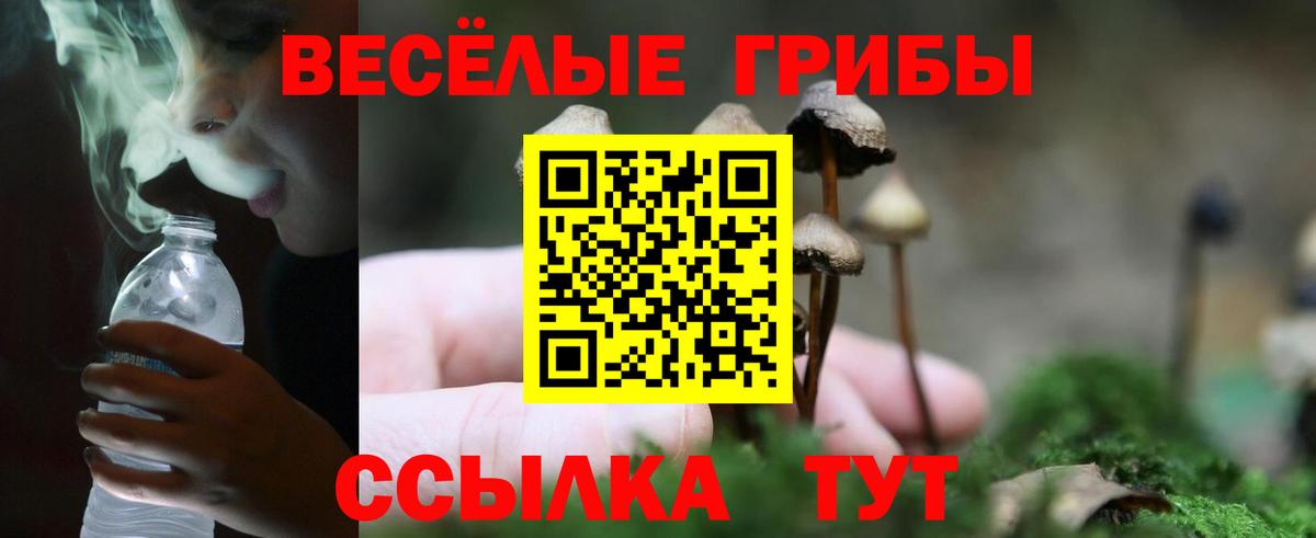 Галлюциногенные грибы MAGIC MUSHROOMS  Вход с VPN  Псилоцибиновые грибы прущие грибы  Ярцево 